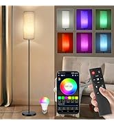 Floor Lamp for Living Room, Modern Standing Lamps with Lampshade, Minimalist Tall Lamp with Chain...