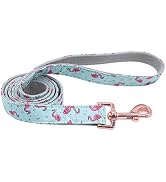 ARING PET Dog Leash, Cotton & Webbing Strong Dog Leashes, Handmade Walking Dog Leash for Small Me...