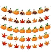 OHOME Thanksgiving Decorations - 40 Pack Thanksgiving Garland | Thanksgiving Decorations Indoor O...