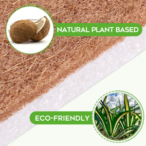 natural plant based spones