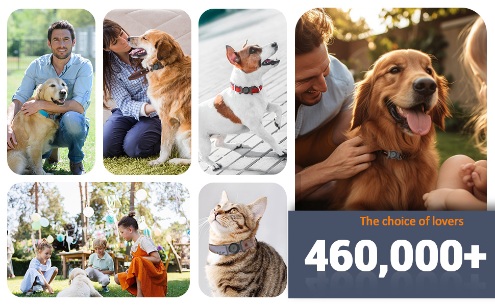 GPS Tracker for Dogs, Mini GPS Cat Tracker, IPX8 Waterproof GPS Tracker for Cats with Holder