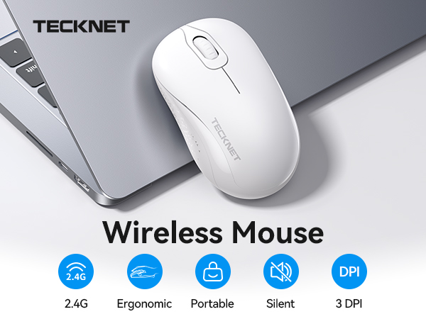 mouse
