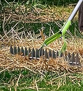 WORKPRO Thatch Rake, 15-Inch Thatching Rake for Lawns, Heavy Duty Dethatcher Rakes with 5FT Handl...
