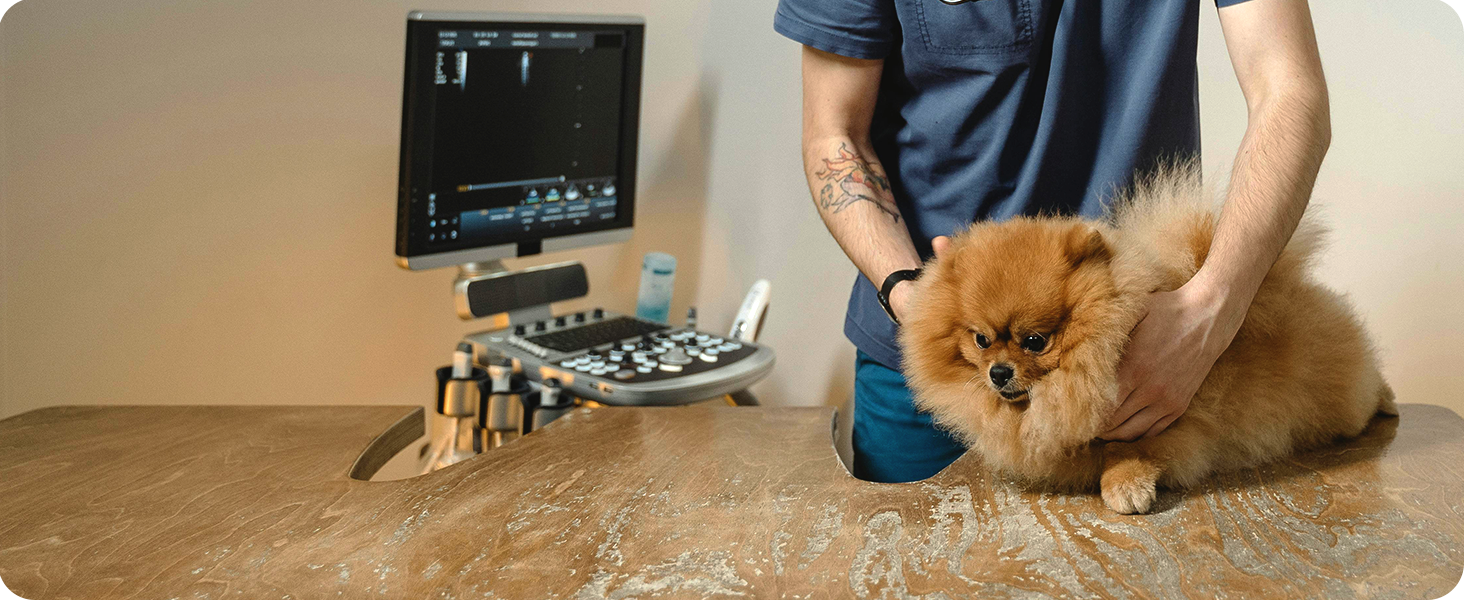 Pet Care