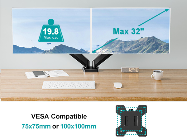 monitor arm dual monitor