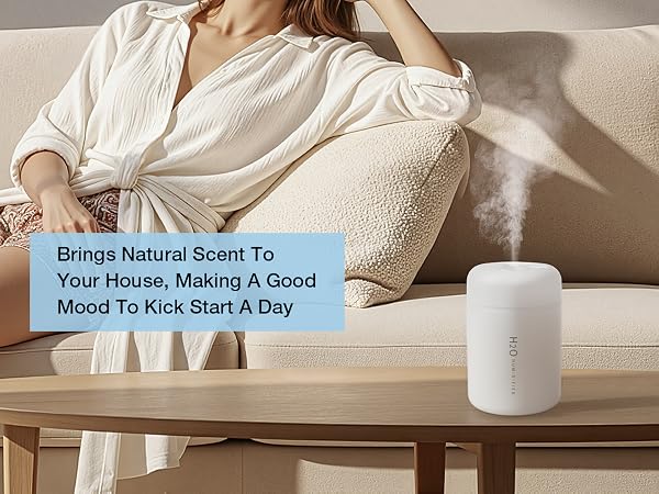 Small Humidifiers