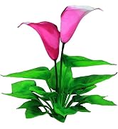 Artificial Aquarium Plants,Flower Aquarium Decoration Artificial Aquatic Plant Waterweed Craft Si...
