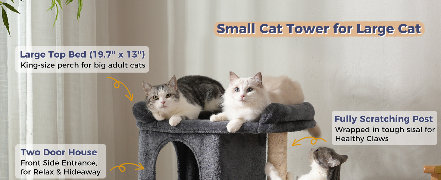 cat tree