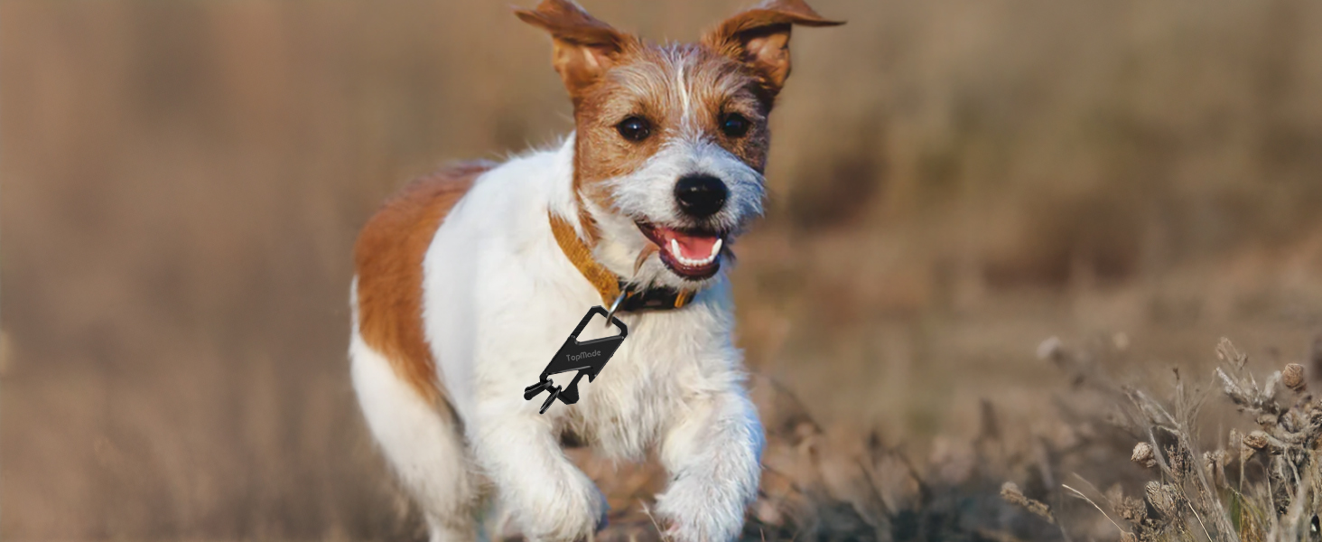 Track your pet