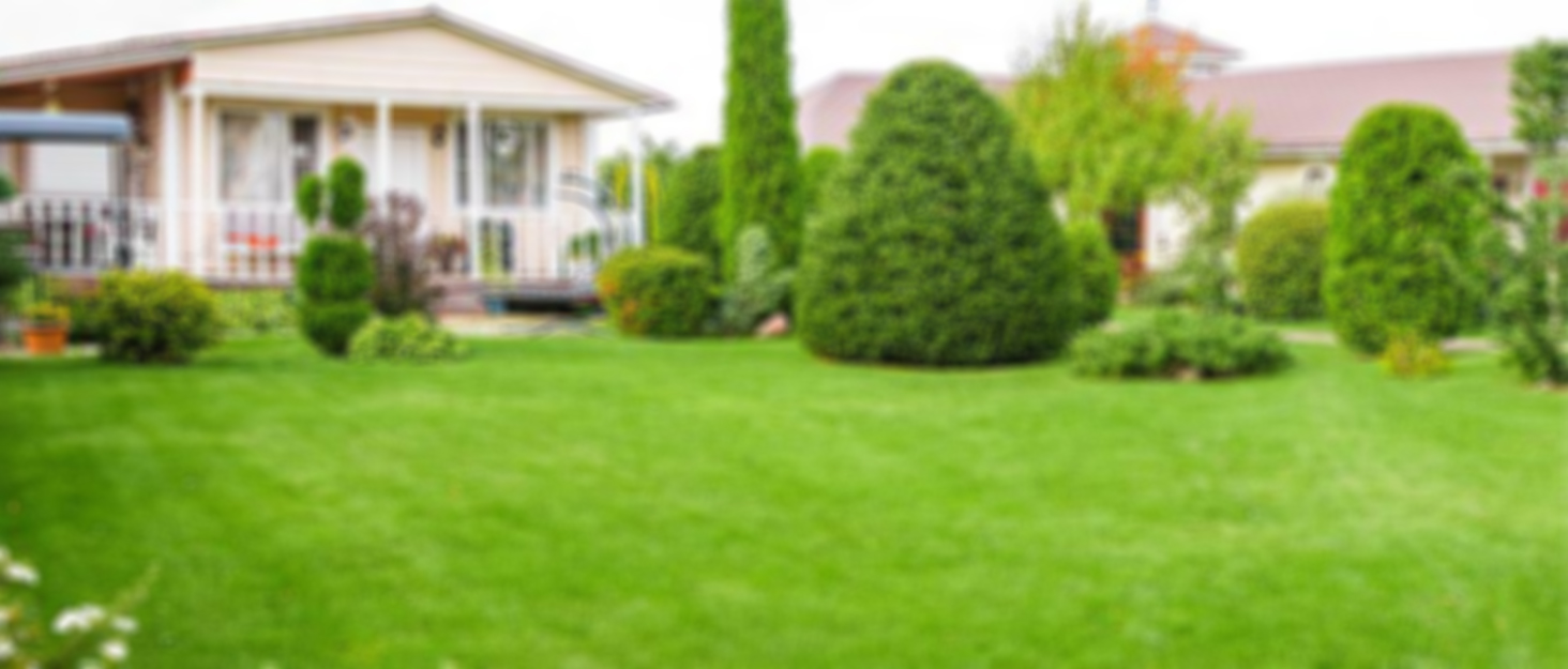 Lawn Sprinkler