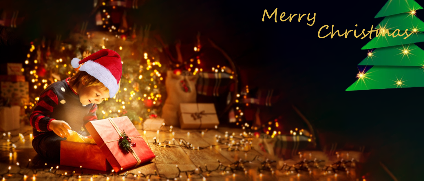 Durlk Walkie Talkies Long Range