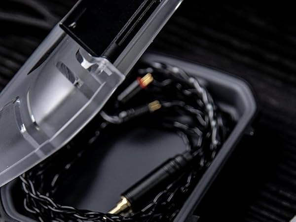 LC02 Waterproof IEM Case