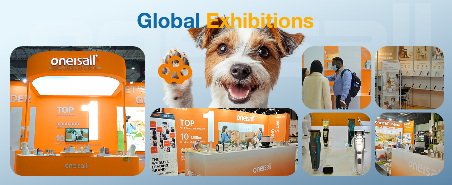Global Shows