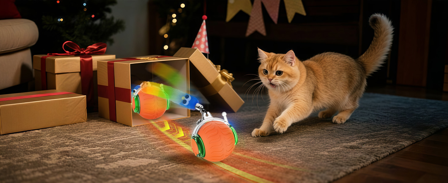 cat rolling ball toy