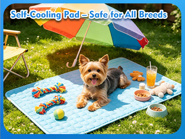 cooling dog bed