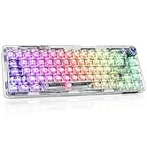 CHICHEN 60% Portable Mechanical Gaming Keyboard,Hot-swappable RGB Backlit Compact 68 Clear Keycap...