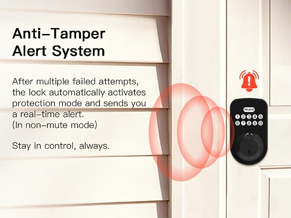 WiFi Smart Door Lock