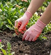 Woman gloves
