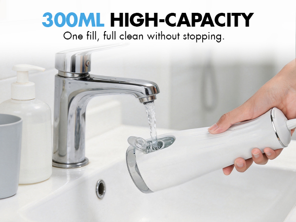 portable water flosser