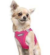 rabbitgoo Small Dog Harness, Step-in Soft Mesh Puppy Vest, Easy Walk with Safety Buckle, Breathab...