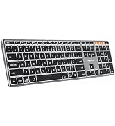 ProtoArc Backlit Wireless Keyboard for Mac, K110-A Aluminum Full Size Slim Bluetooth Keyboard, Mu...