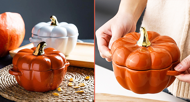 Dutch Oven Pot with Lid