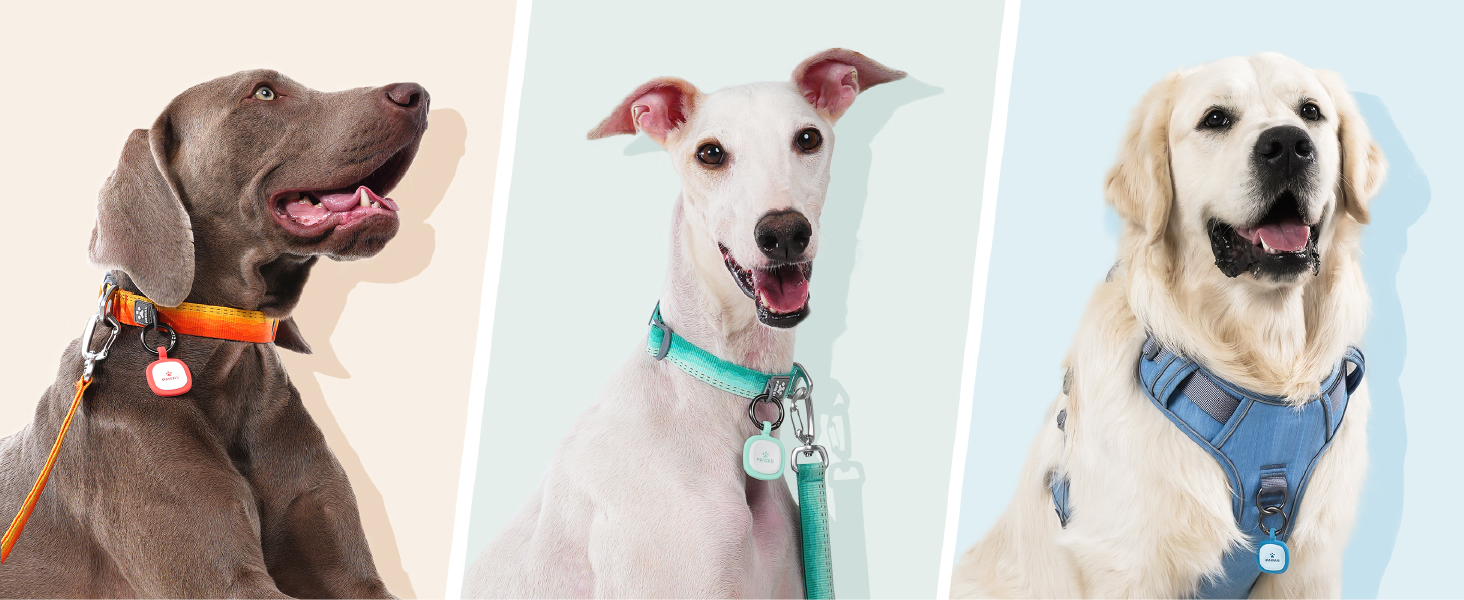 Pawaii QR Pet ID Tag, Silent Silicone Dog ID Tag, Modifiable Pet Online Profile