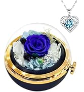 HVY Preserved Real Rose with Heart Necklace Birthday Gifts for Women Preserved Fresh Flowers for ...