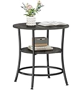 DUMOS Side Round Table for Living Room, 2-Tier Accent End Table with Storage Shelf,Sturdy Metal F...