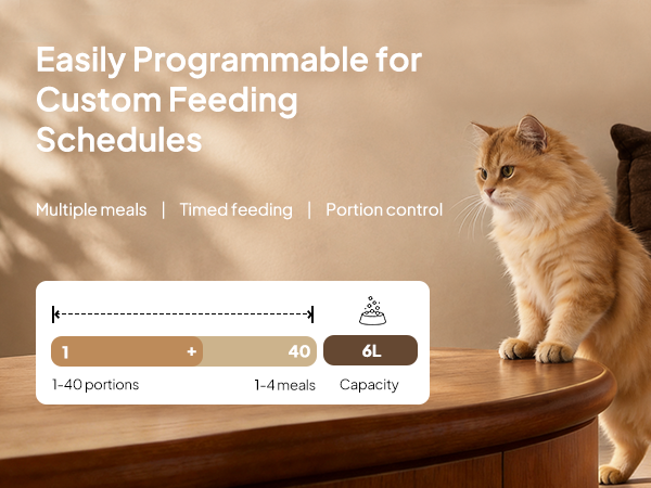 Automatic Cat Feeders