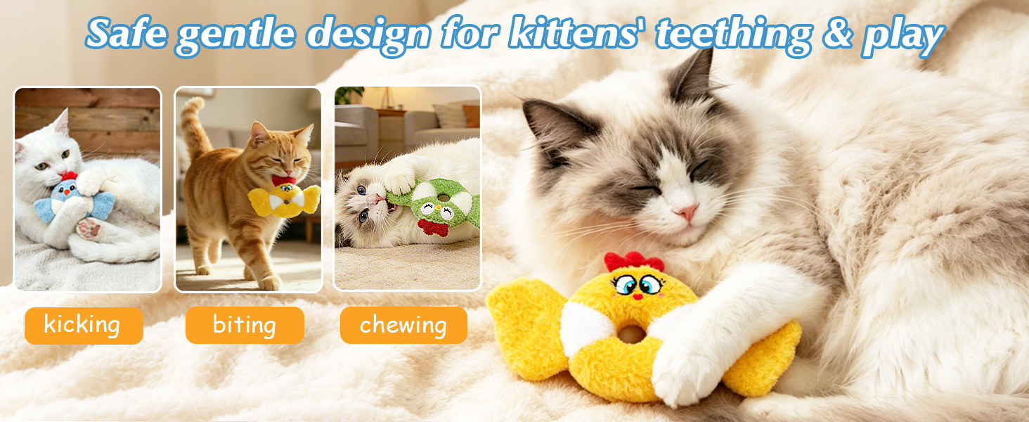 catnip toys