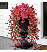 AmberFun Artificial Hanging Flowers for Outdoors,No Fade 2 Bundles Fake Silk Flowers for Outside,...