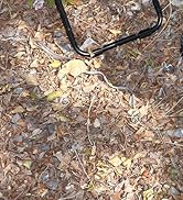 MOONCY 16-Inch Collapsible Stool, Portable Aluminum Alloy Pocket Chair with Shoulder Strap, Suppo...