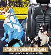 car dog leash