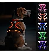 Joytale Light Up Dog Harness, No Pull Dog Harness USB Rechargeable for Night Walking with 3 Light...