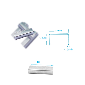 Staples 2