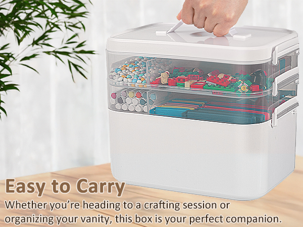 storage bins with lids