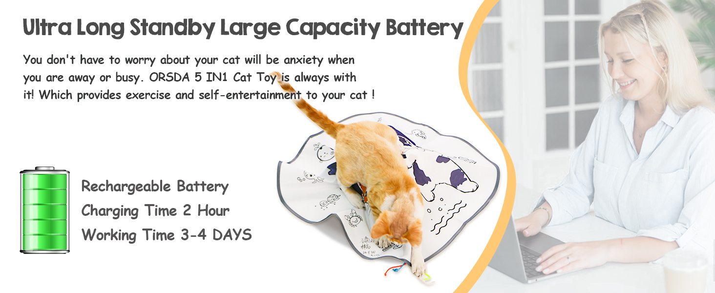cat toys for bored indoor adult cats