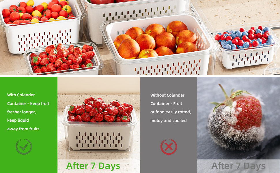 fruit containers for fridge keep fresh