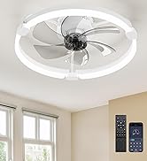 Ensenior 20'' Low Profile Ceiling Fans with Lights and Remote, Fandelier Ceiling Fan Flush Mount,...