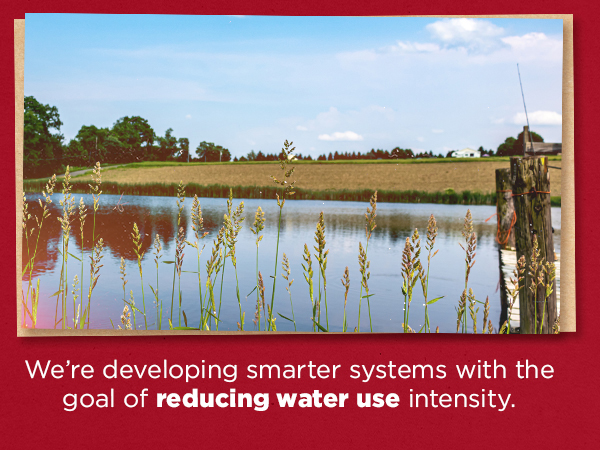 Water Use and Conservation