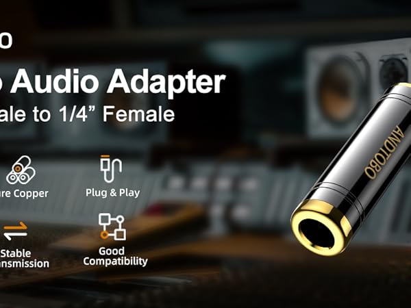 1/8" to 1/4" adapter