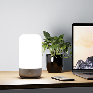 cool white lamp