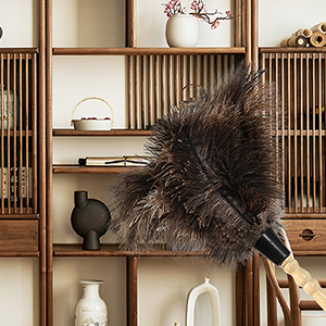 ostrich feather duster