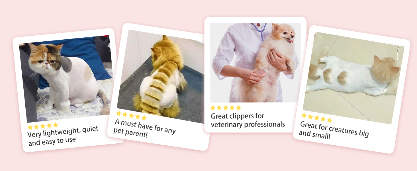good for vet tech