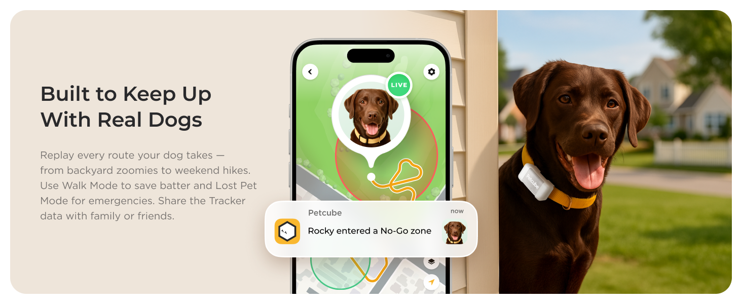 Petcube GPS Tracker for dogs