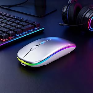 mouse