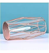 Glass Flower Vase with Geometric Rose Gold Metal Stand, Modern Elegant Style Cylinder Clear Vase ...