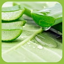 ALOE VERA GEL