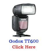 TT600